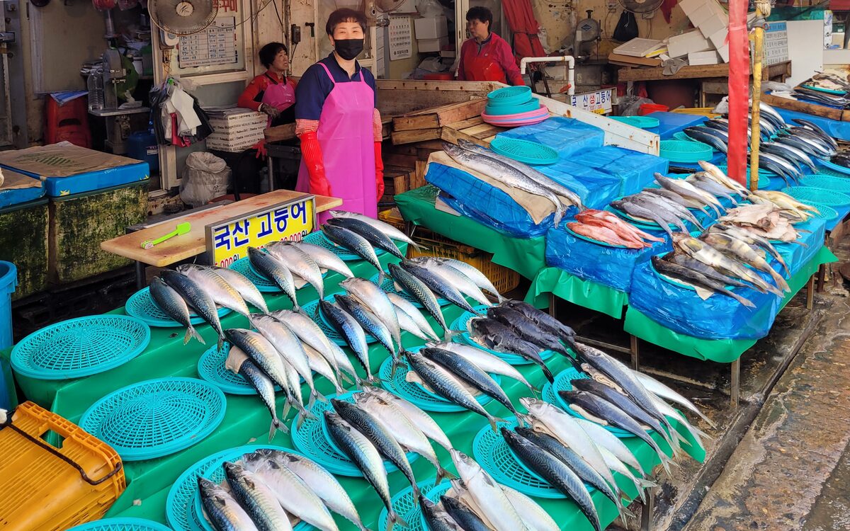 Fish laid out on blue and green trays at Jagalchi Market, with a vendor in a pink apron behind them