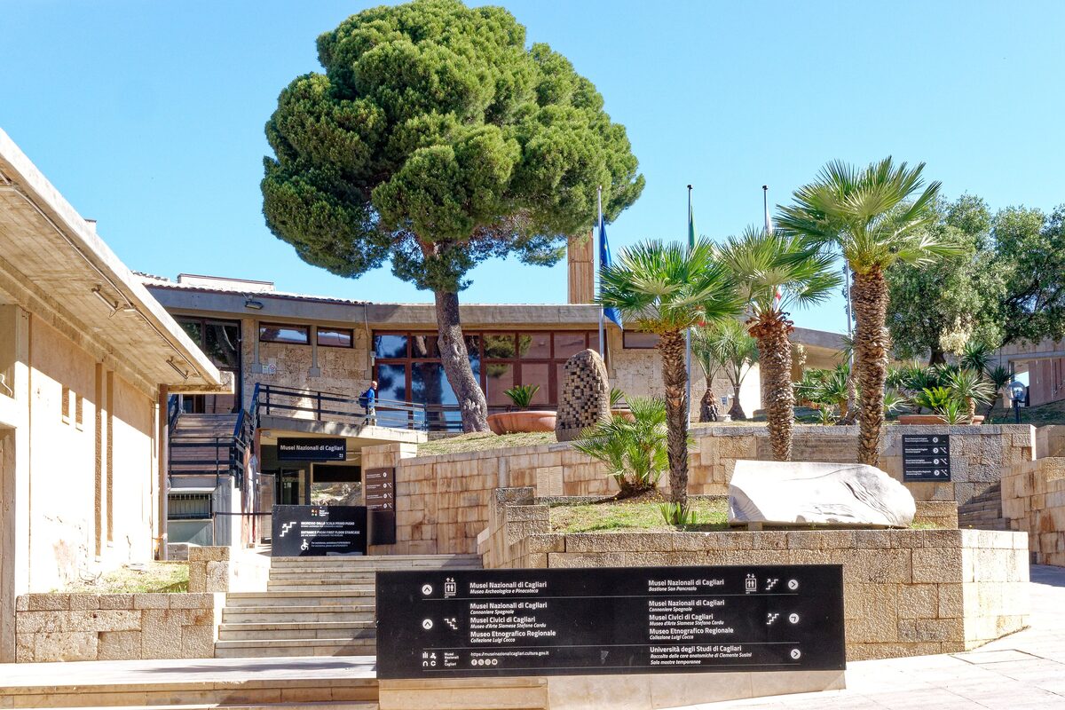 The entrance courtyard of the National Archaeological Museum in the Citadel of Museums, with a stone pine and palms beside the steps