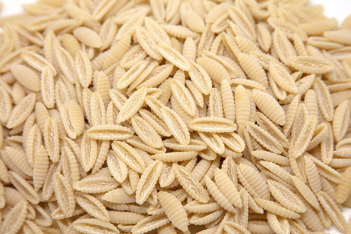 A heap of dry malloreddus, the small ridged Sardinian gnocchetti