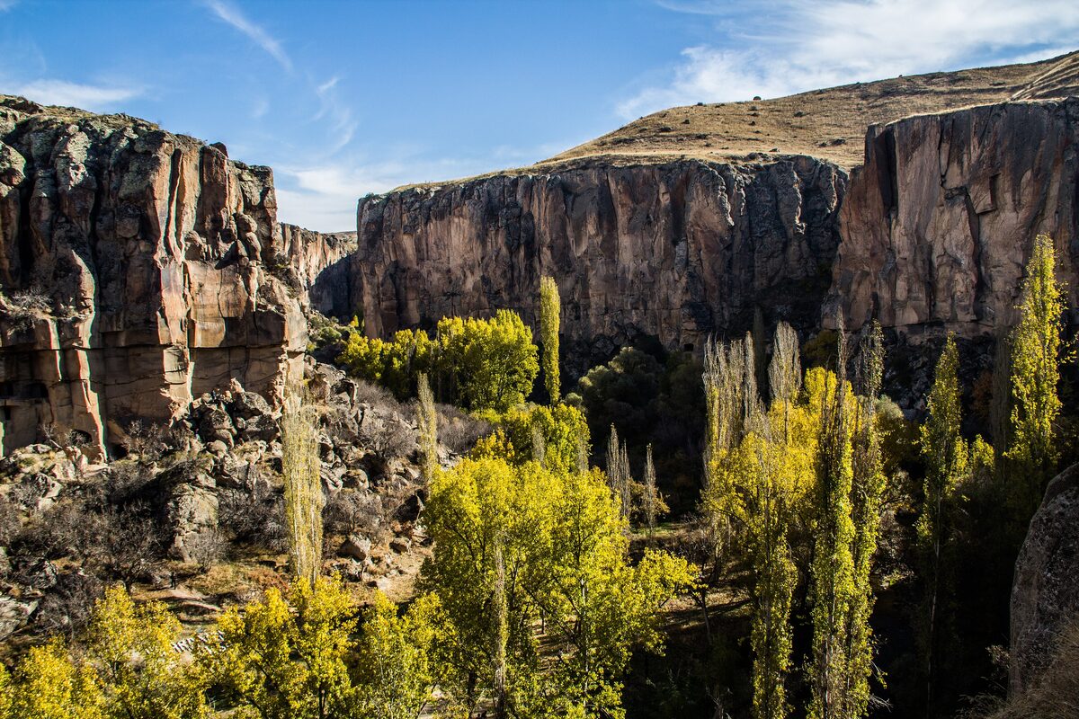 The steep walls of the Ihlara Valley canyon, with yellow autumn poplars along the river below
