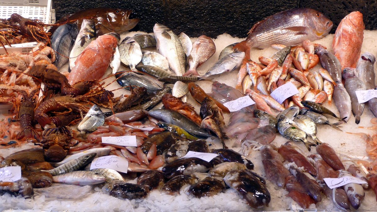 Fresh fish and red prawns laid out on crushed ice at a Catania fish stall, with price tags on the display