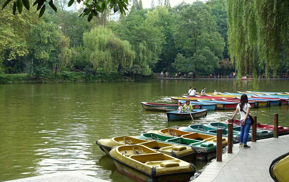 Rental rowboats moored at the lake in People's Park, with willows and trees along the shore