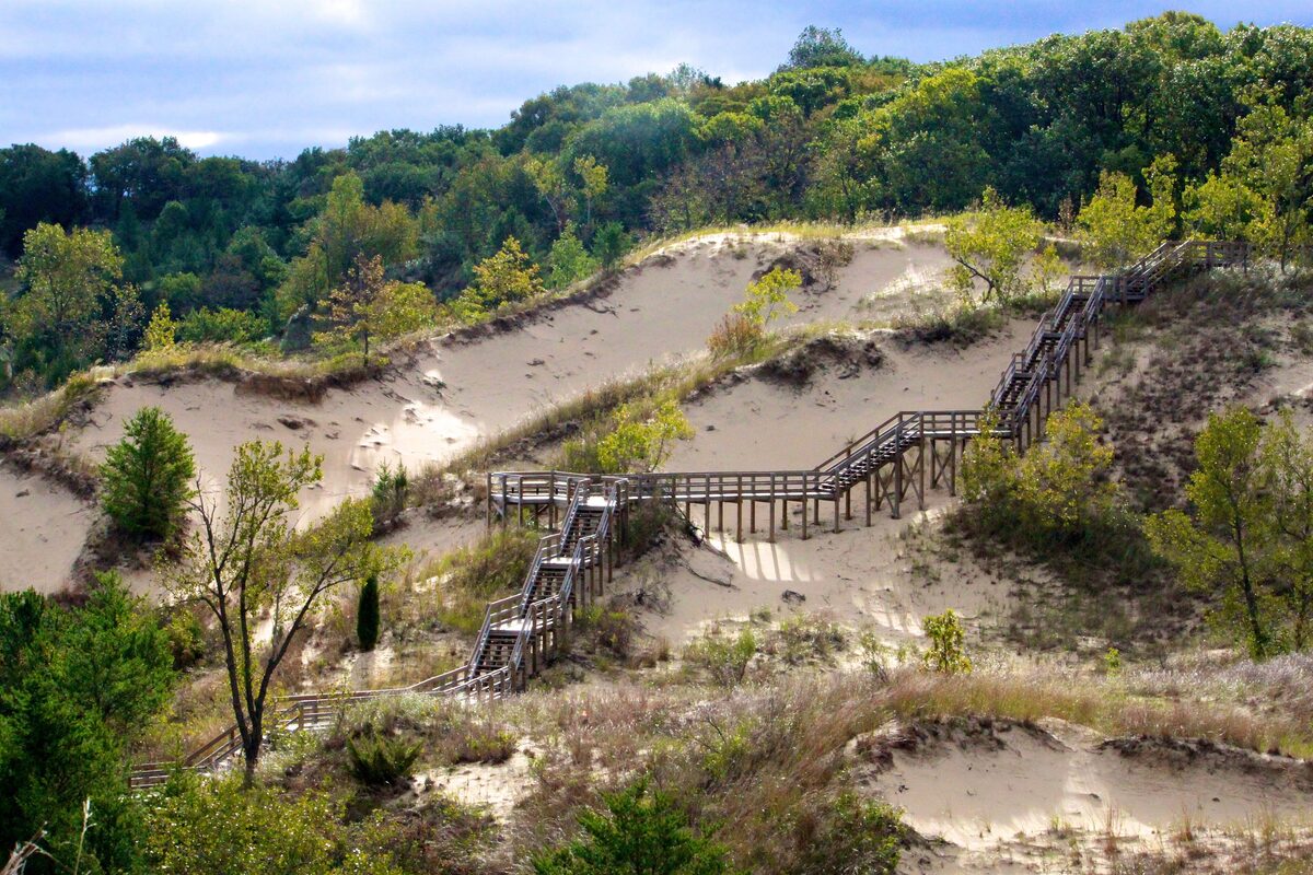 Wooden stairs climbing a sand dune on the Dune Succession Trail at West Beach