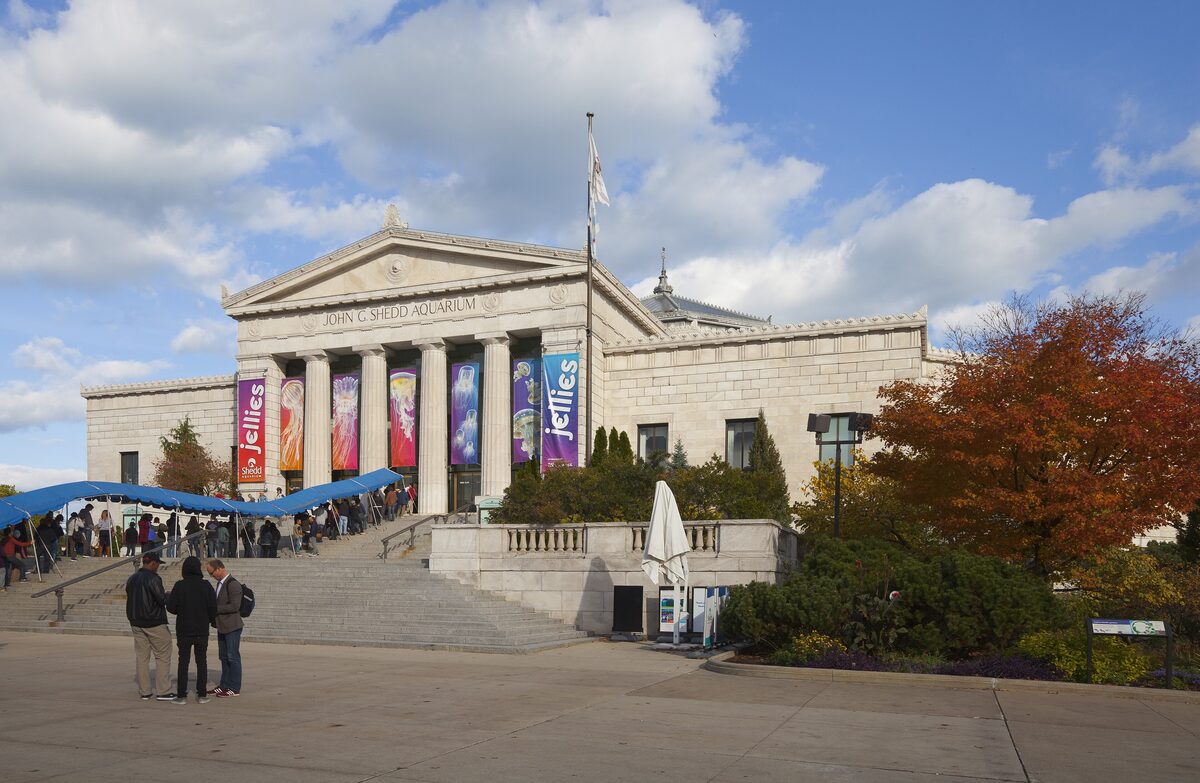 The columned front of the Shedd Aquarium on a bright autumn day, with a line of visitors at the entrance