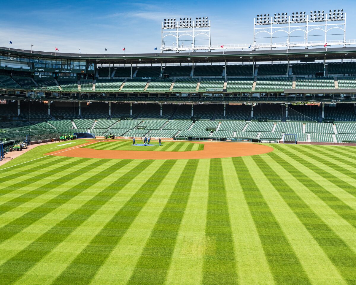 The striped green outfield and grandstands of Wrigley Field under a blue sky