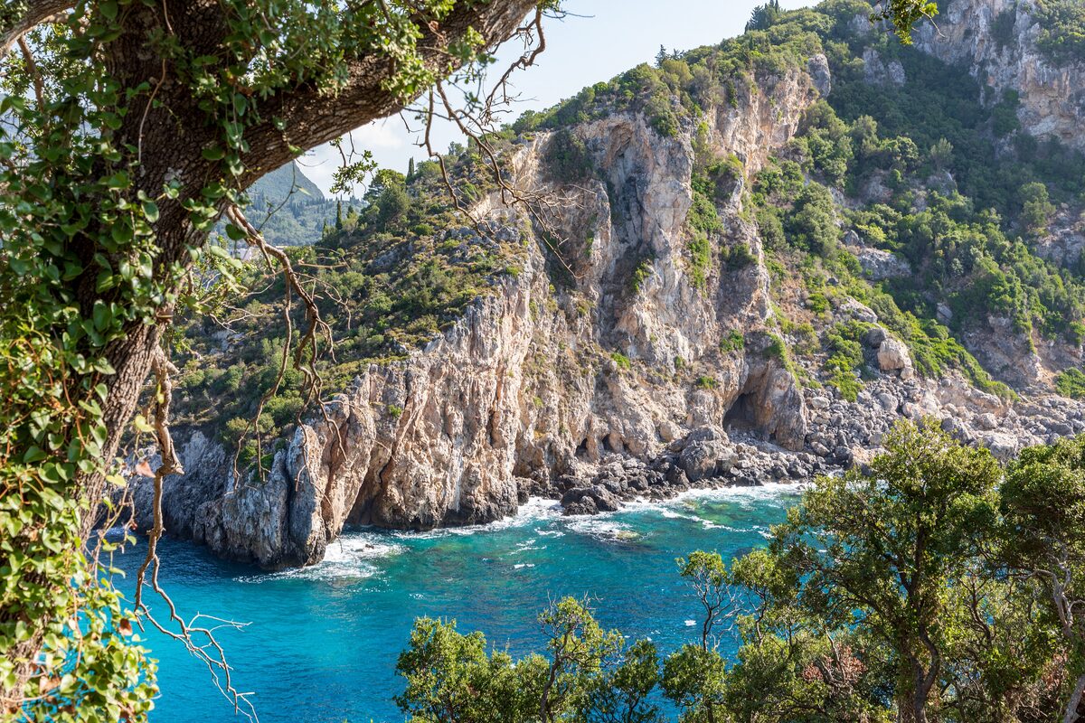 Limestone cliffs covered in green scrub plunging into turquoise water at Paleokastritsa, framed by tree branches