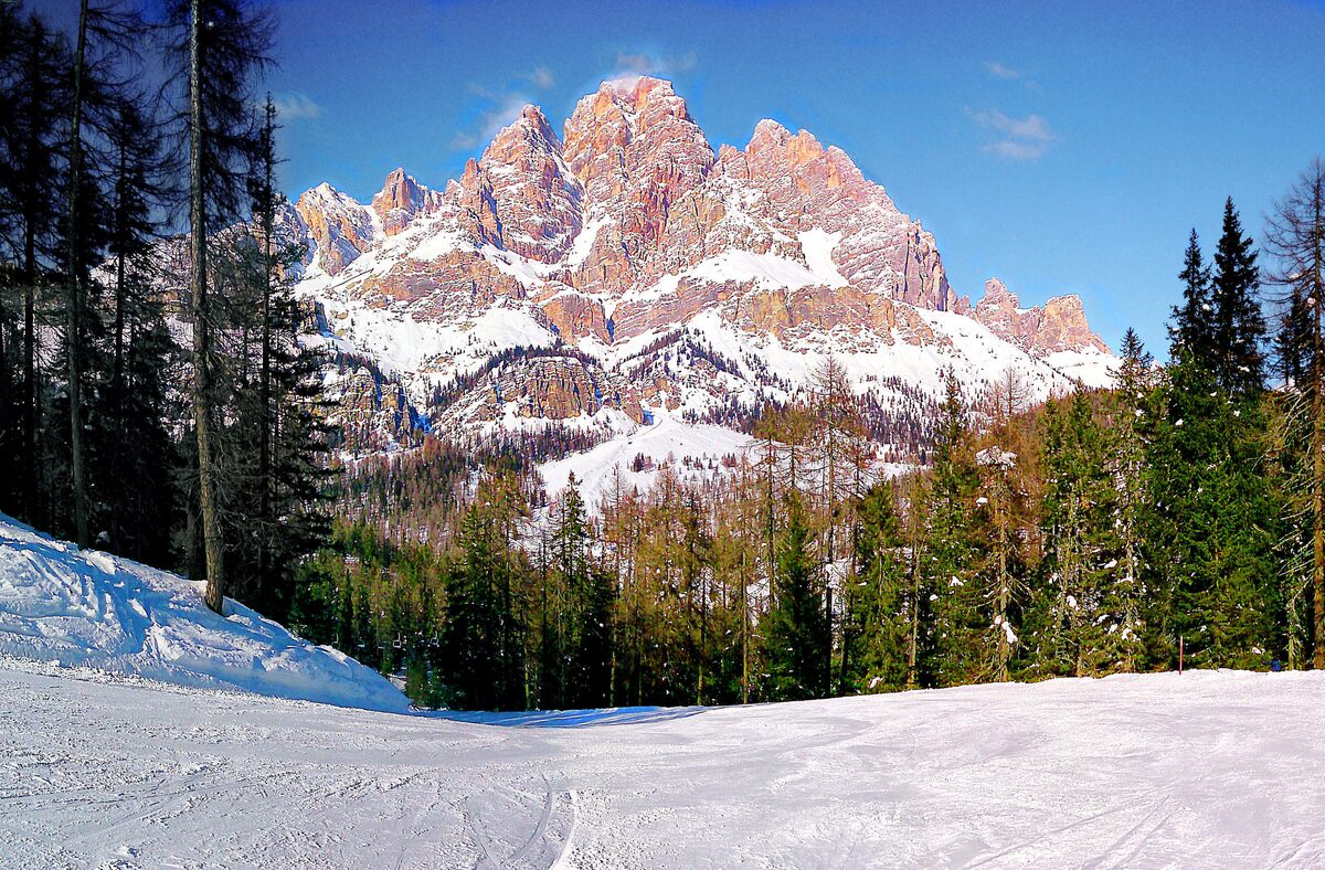 A snow-covered piste with larch trees in the foreground and the jagged Cristallo peaks above