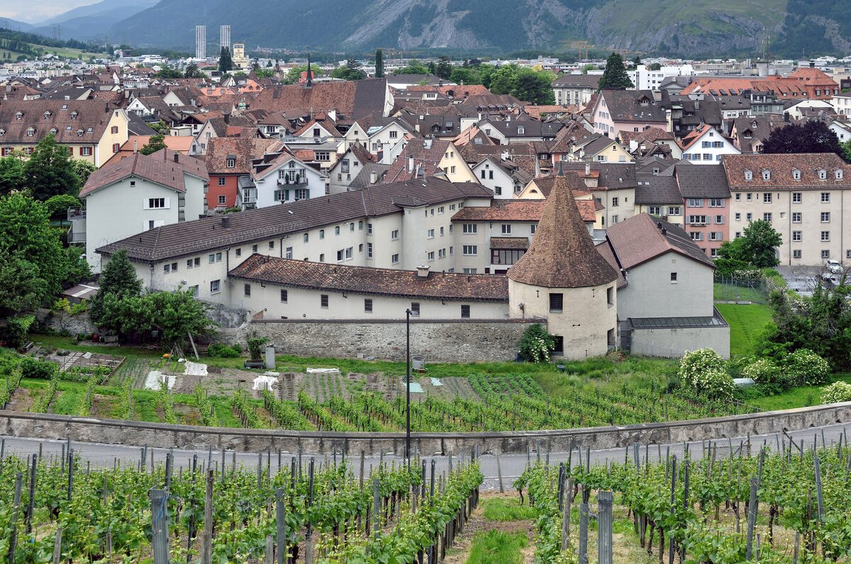 The old town of Chur from above: red roofs, a round tower and vineyard terraces in the foreground, mountains behind (summer)