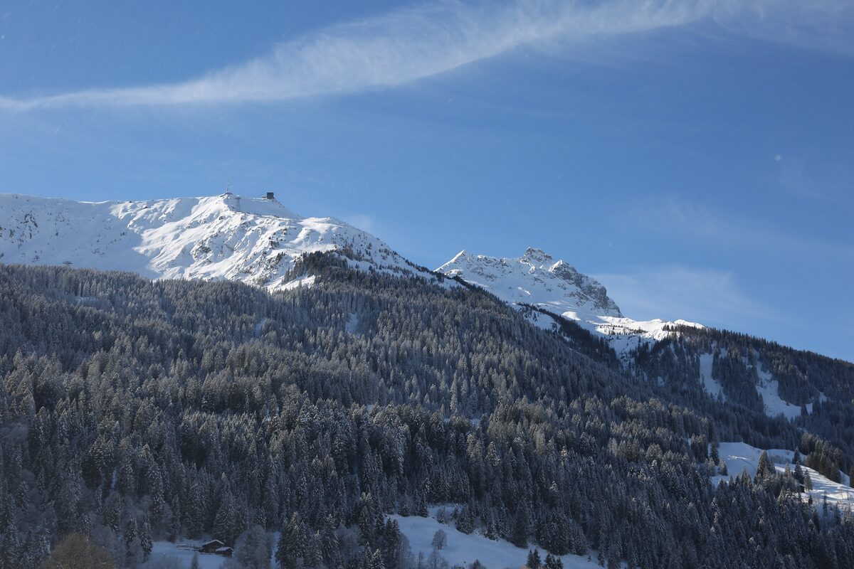 The Gotschna side of the mountain above Klosters in winter: frosted forest and snowy ridges under a blue sky