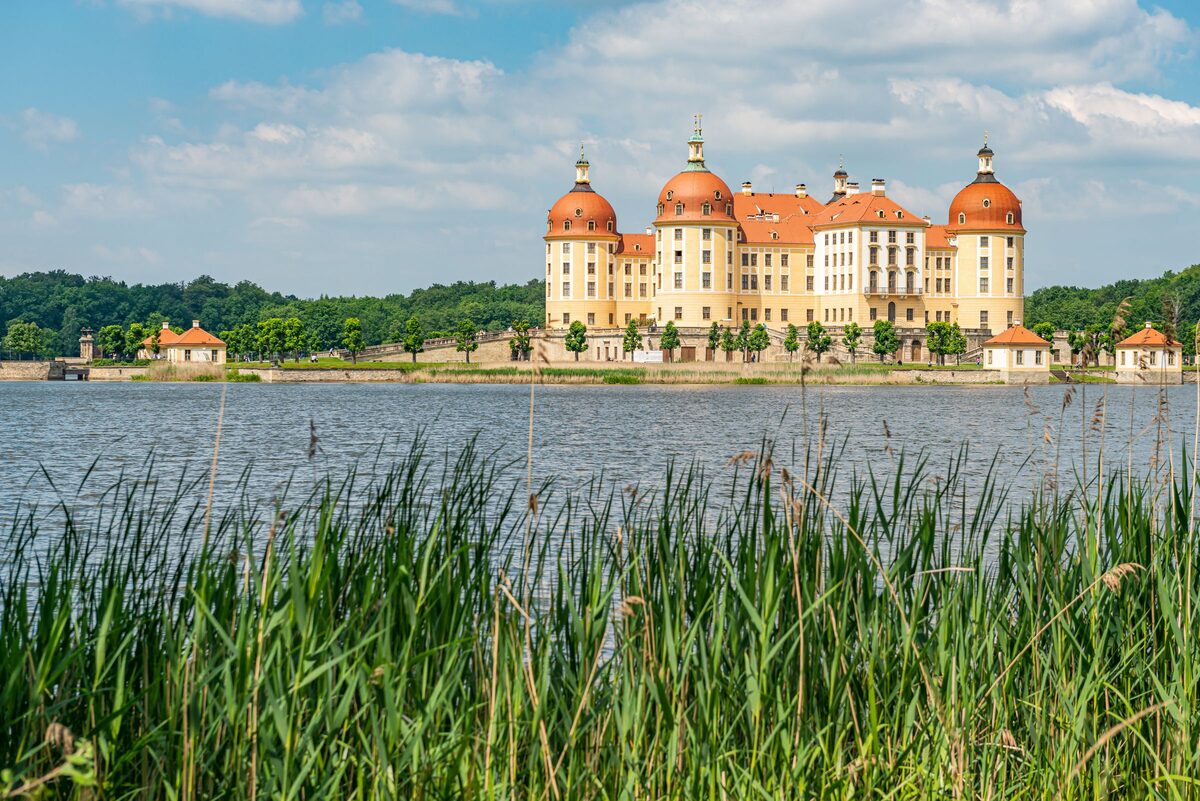 Moritzburg Castle with its four round towers across the castle pond, reeds in the foreground