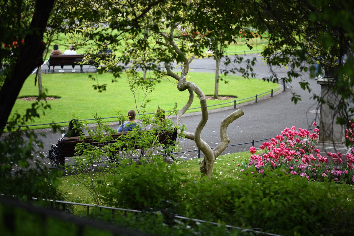 A path curving past flower beds, lawns and benches under trees in St Stephen's Green