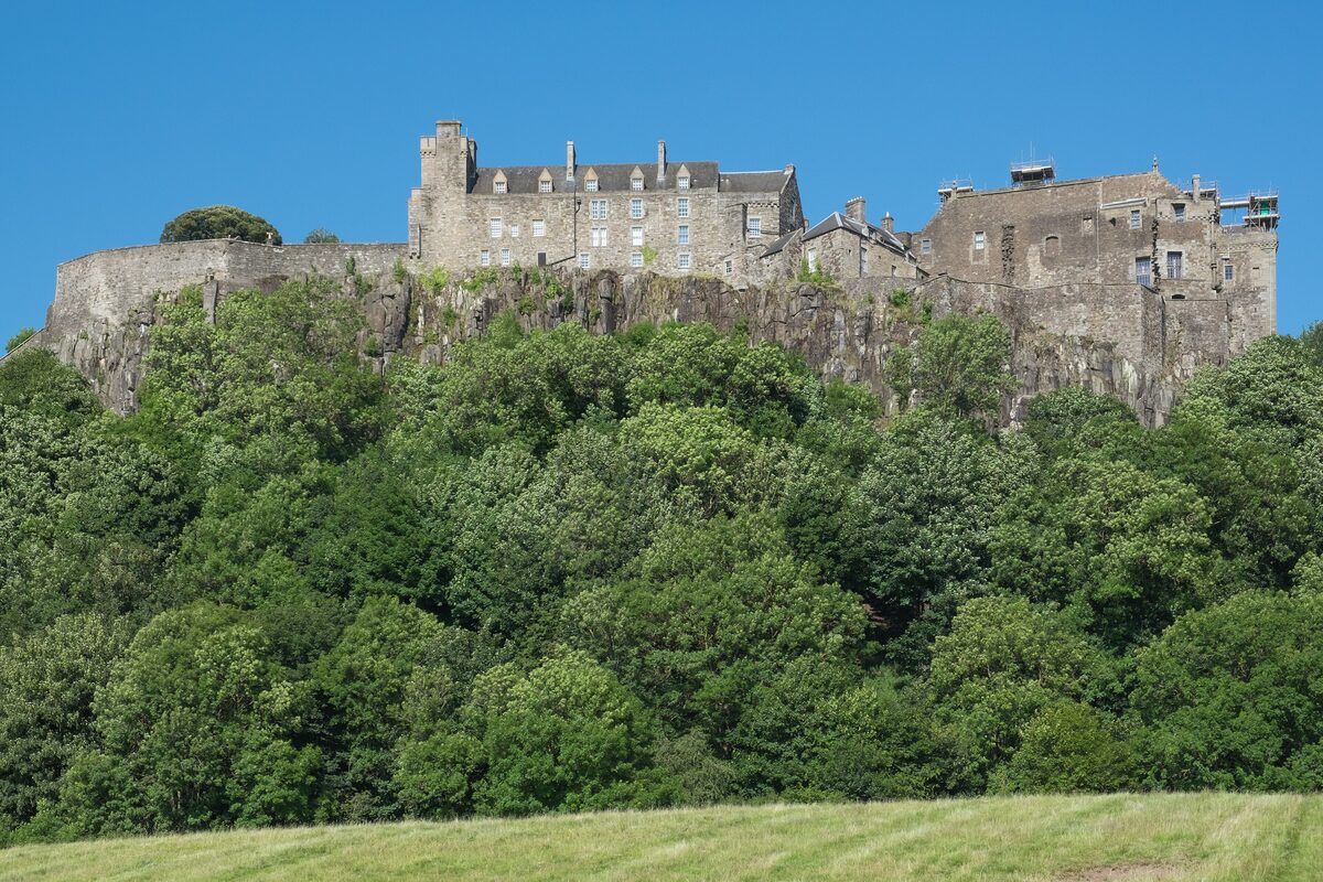 Stirling Castle on its crag above wooded slopes, with its buildings along the top under a blue sky