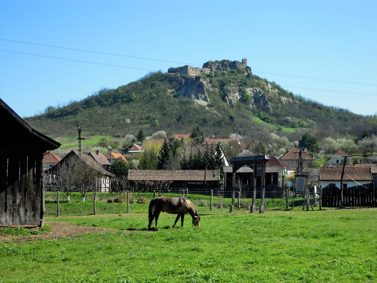 The ruins of Sirok castle on a rocky hilltop above the village, with a horse grazing in a meadow in front