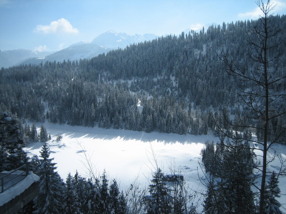 Caumasee in winter: the frozen lake edged with snow and dark pines on the slope above