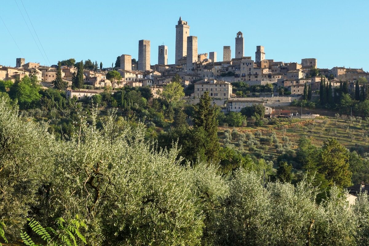 The medieval towers of San Gimignano rising above the town on its hill, with olive trees and greenery in the foreground