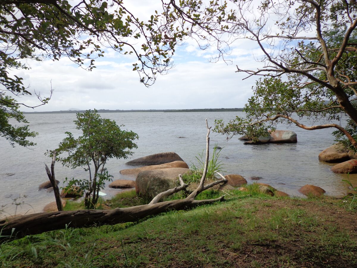 A trail view over the Lagoa da Conceição through the trees, with granite rocks and grass on the shore