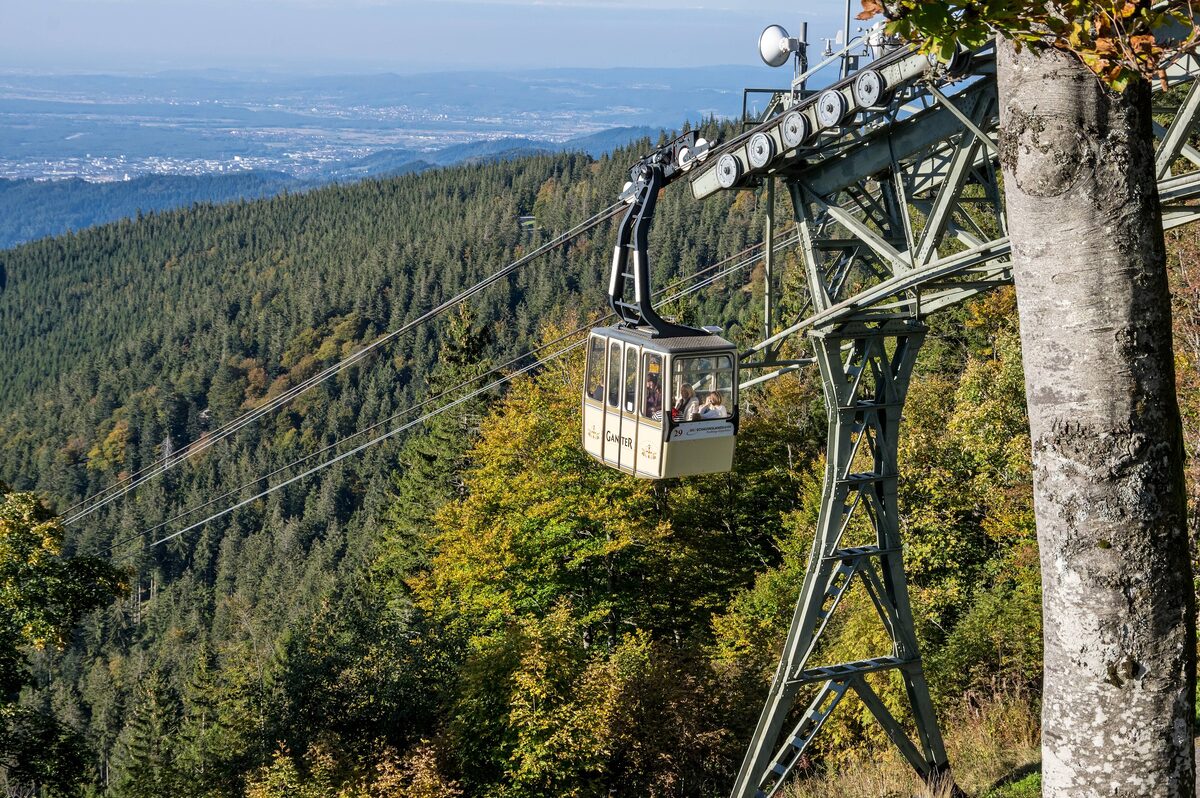 A Schauinslandbahn cabin passing a steel pylon above fir forest, with the Rhine plain far below