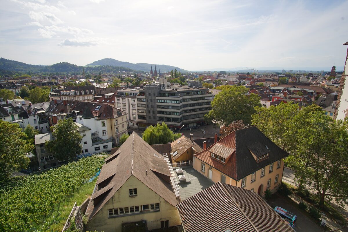 View over the rooftops of Freiburg from the Kastaniengarten on the Schlossberg, with a vineyard in the foreground and hills in the distance