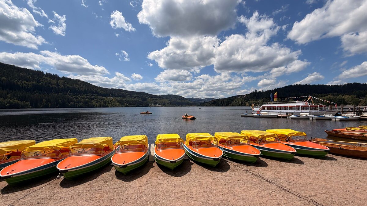 Rows of orange and yellow pedal boats on the shore of Titisee, with forested hills across the water