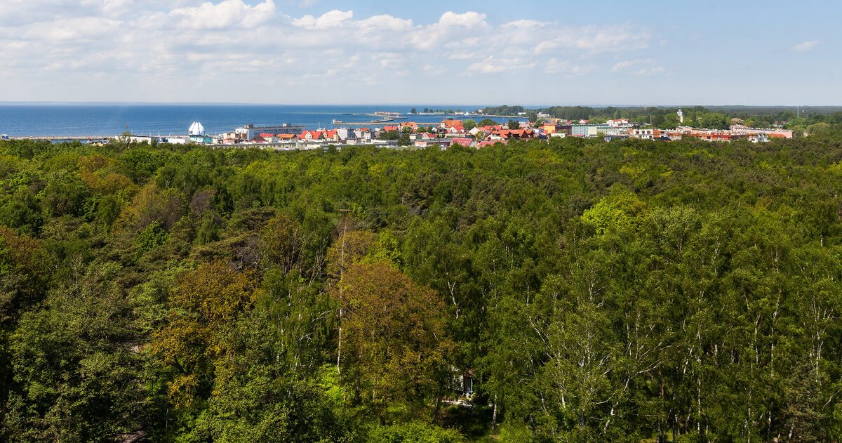 View from the lighthouse over the pine forest to the town of Hel and the sea