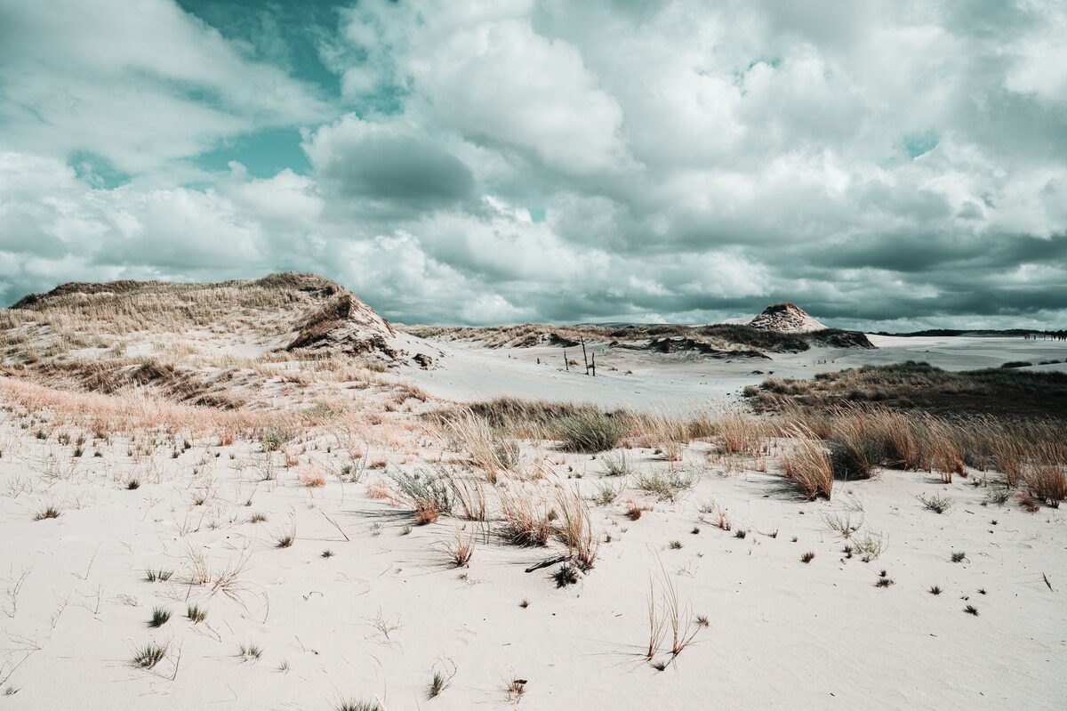 White sand dunes with tufts of grass under a cloudy sky in Słowiński National Park