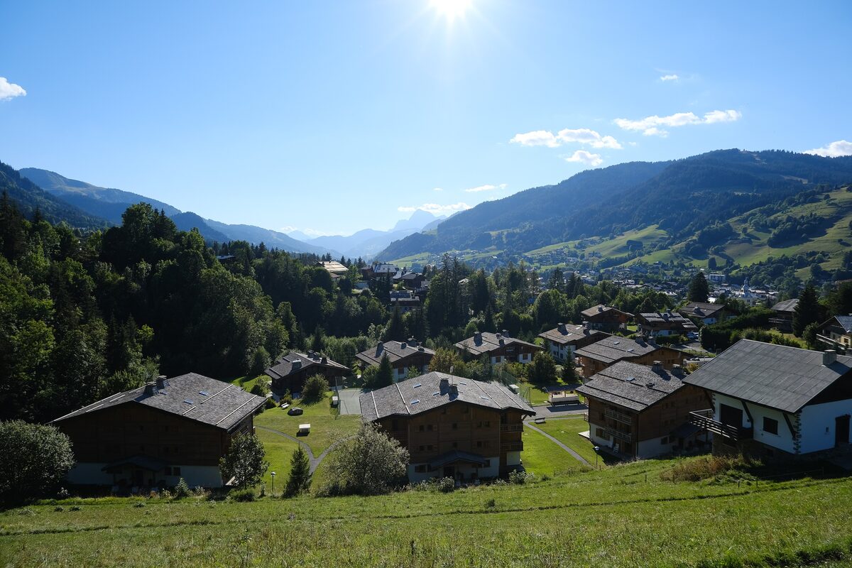 Wooden chalets and village houses on a green slope with mountains in the distance