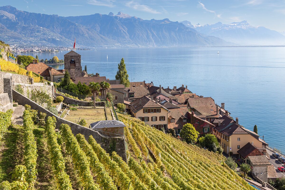 The church tower of Saint-Saphorin among terraced vineyards above the lake