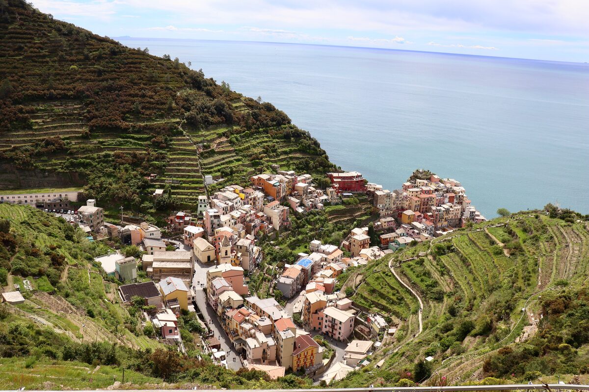 Manarola's houses among terraced vineyards above the sea in the Cinque Terre