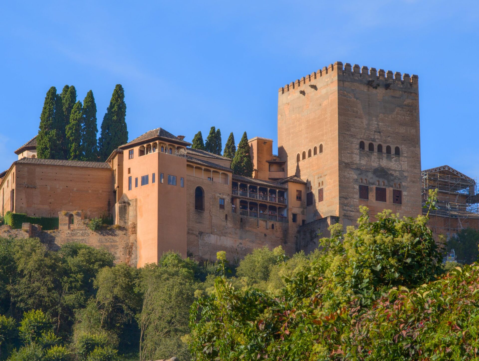 The red walls and towers of the Alhambra's Nasrid palaces rising above green trees and tall cypresses under a blue sky