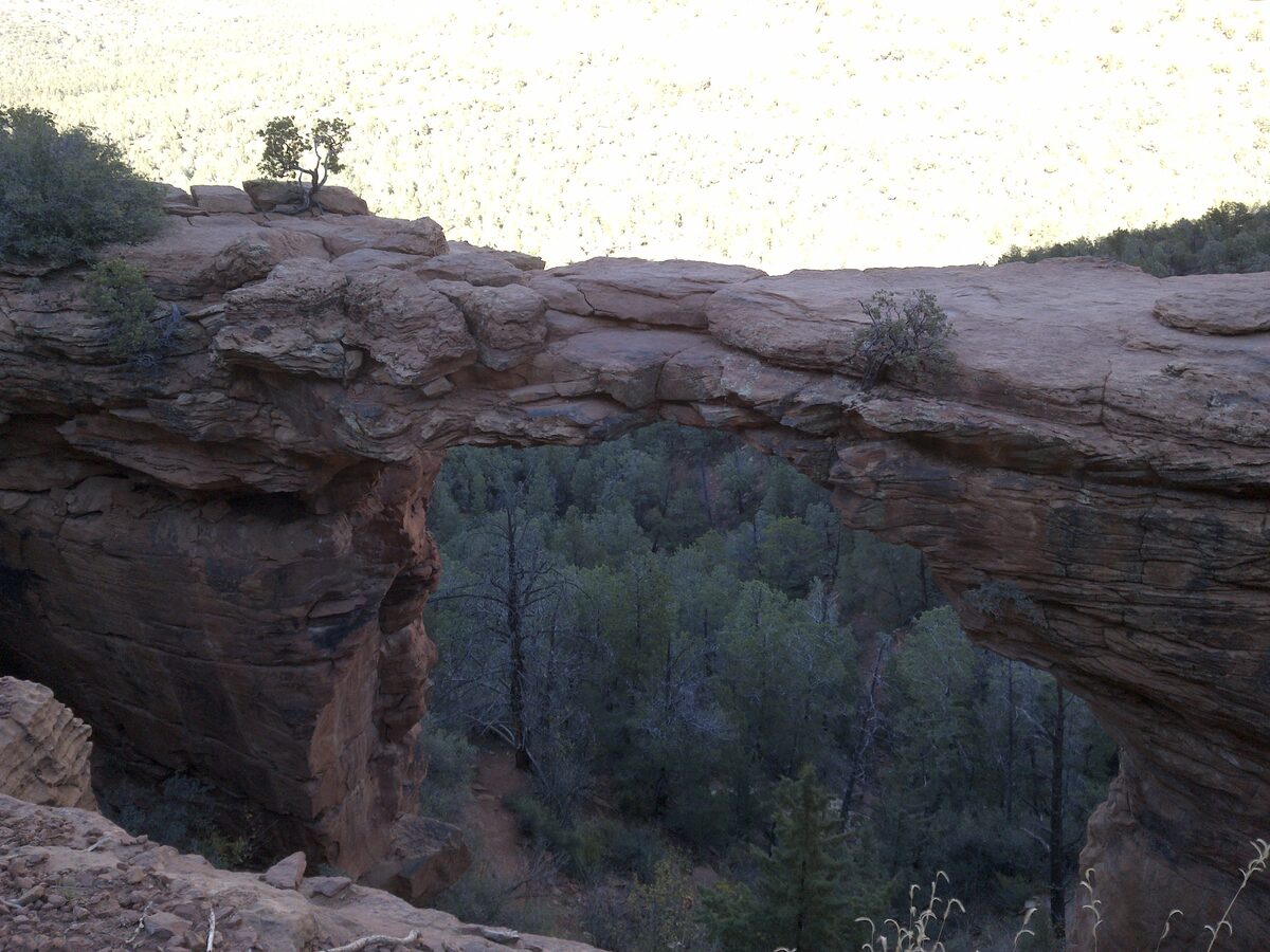 Devil's Bridge, a natural red sandstone arch above a forested drop