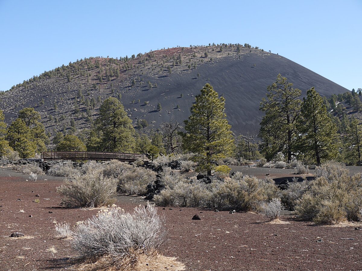 Sunset Crater's dark cinder cone above a lava flow and pines
