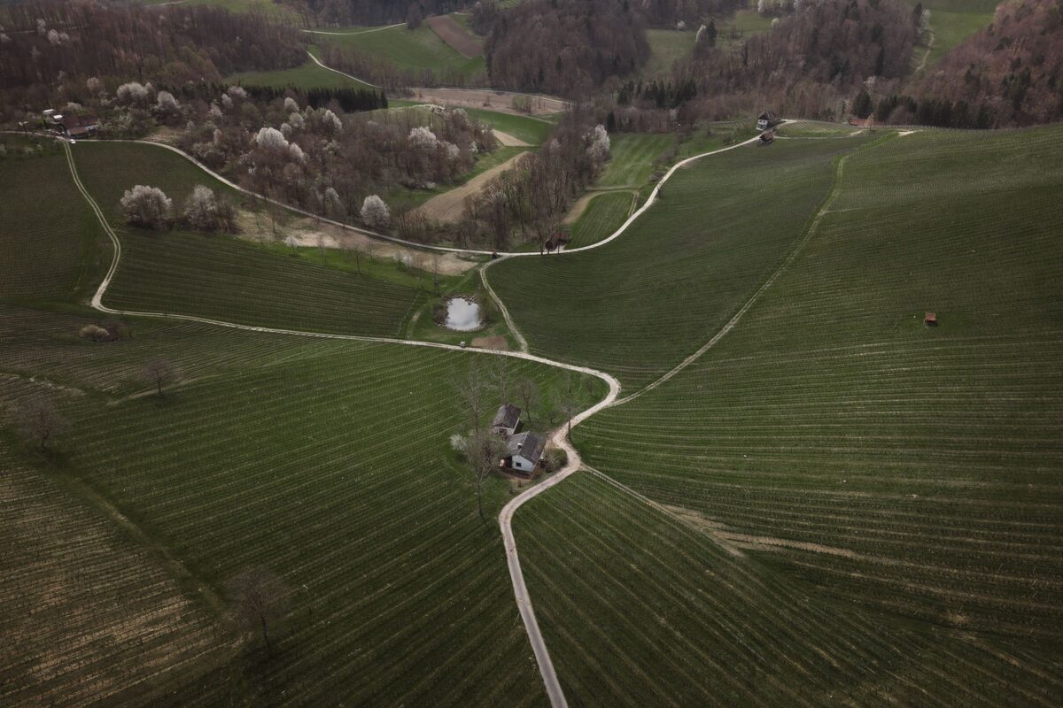 Aerial view of vineyards and winding lanes on the green hills of southern Styria