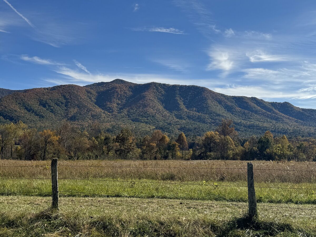 A Cades Cove meadow and fence posts with the mountains behind