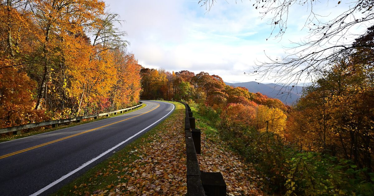 Newfound Gap Road curving through autumn forest toward distant Smoky Mountain ridges