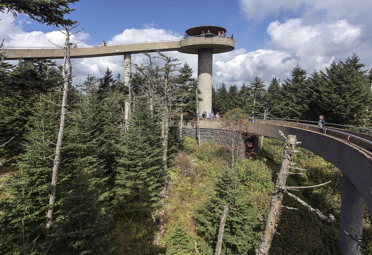 The concrete ramp and viewing platform of Kuwohi tower above the spruce forest