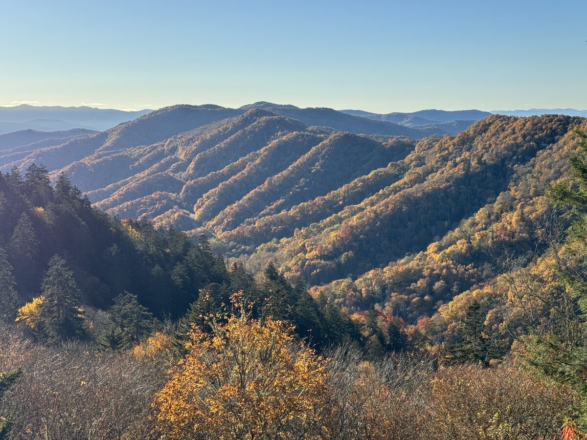 Autumn ridges rolling away from the Newfound Gap overlook in clear light