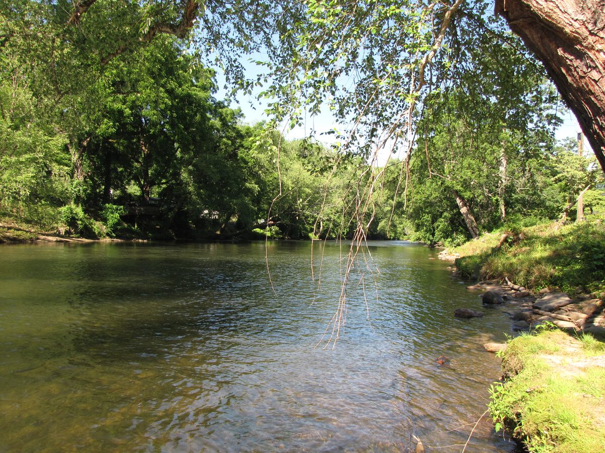 The Oconaluftee River running clear between green banks and overhanging trees