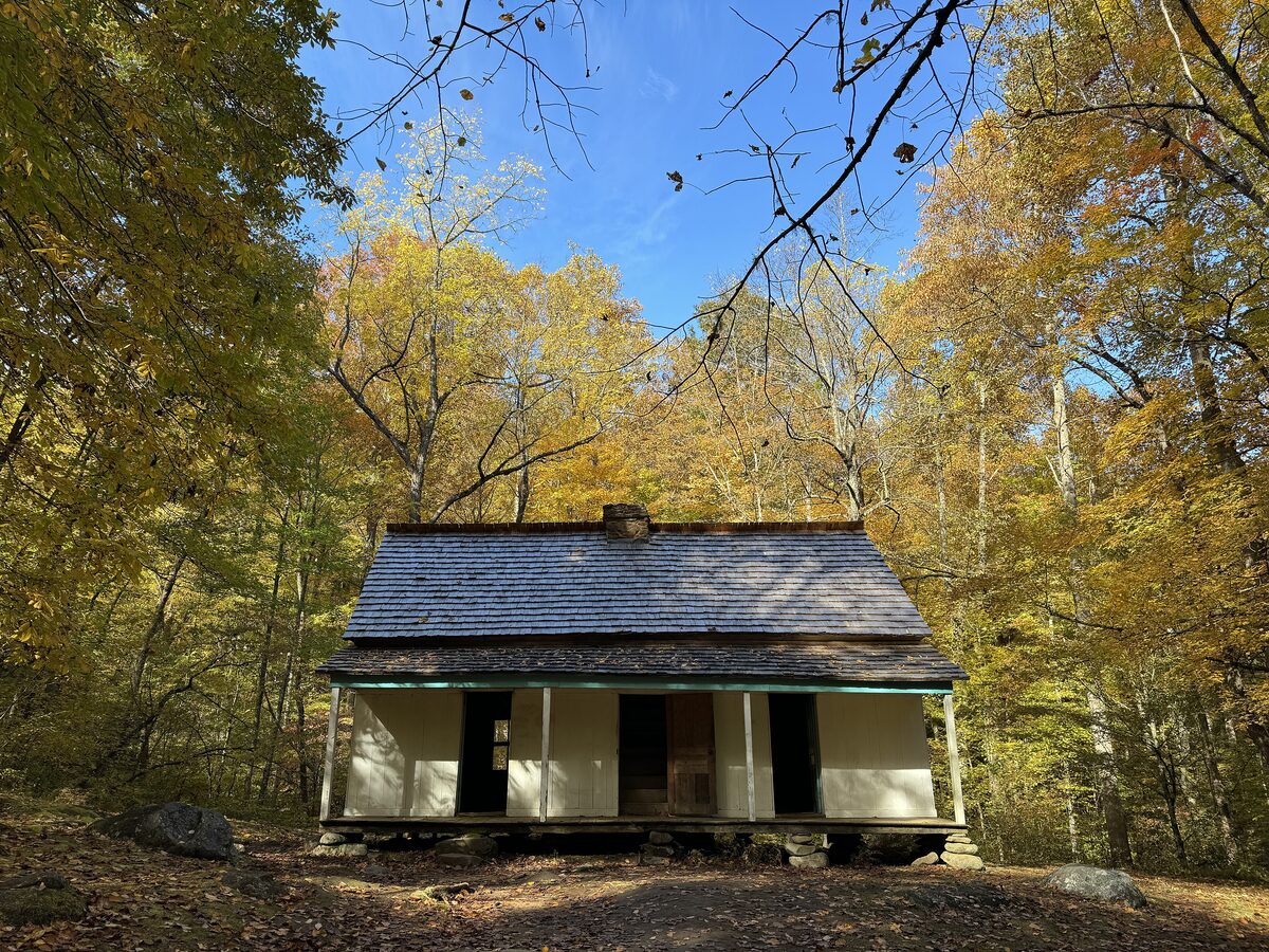 Alfred Reagan's old cabin among autumn trees on the Roaring Fork loop
