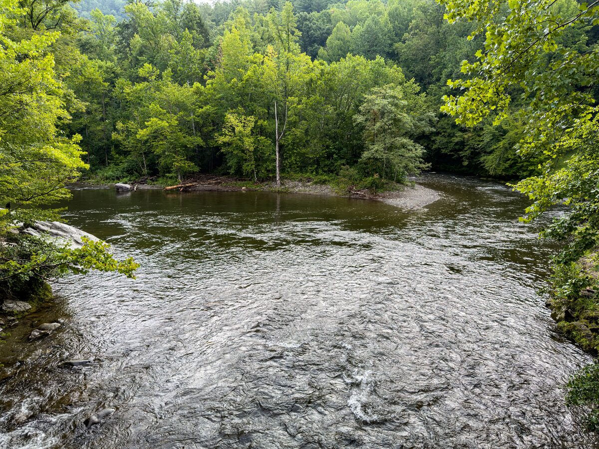 A clear river flowing between forested banks at the Townsend Wye