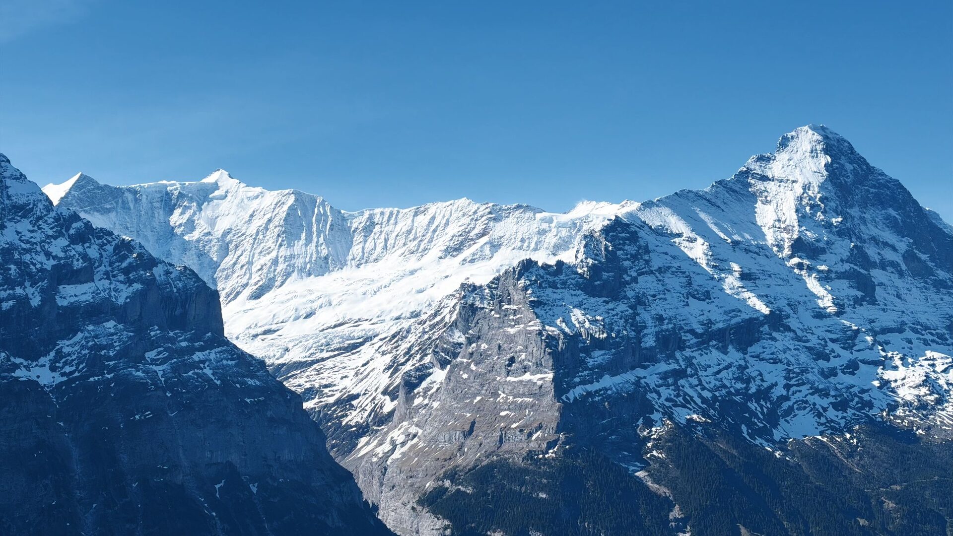 The Eiger and the Fiescher ridge in snow under a clear blue sky above Grindelwald