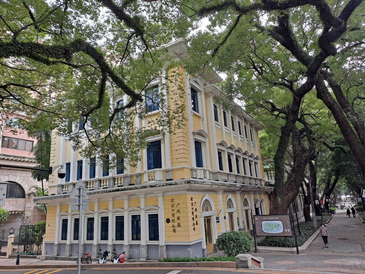 A yellow colonial-era building on a Shamian Island street shaded by old banyan and camphor trees