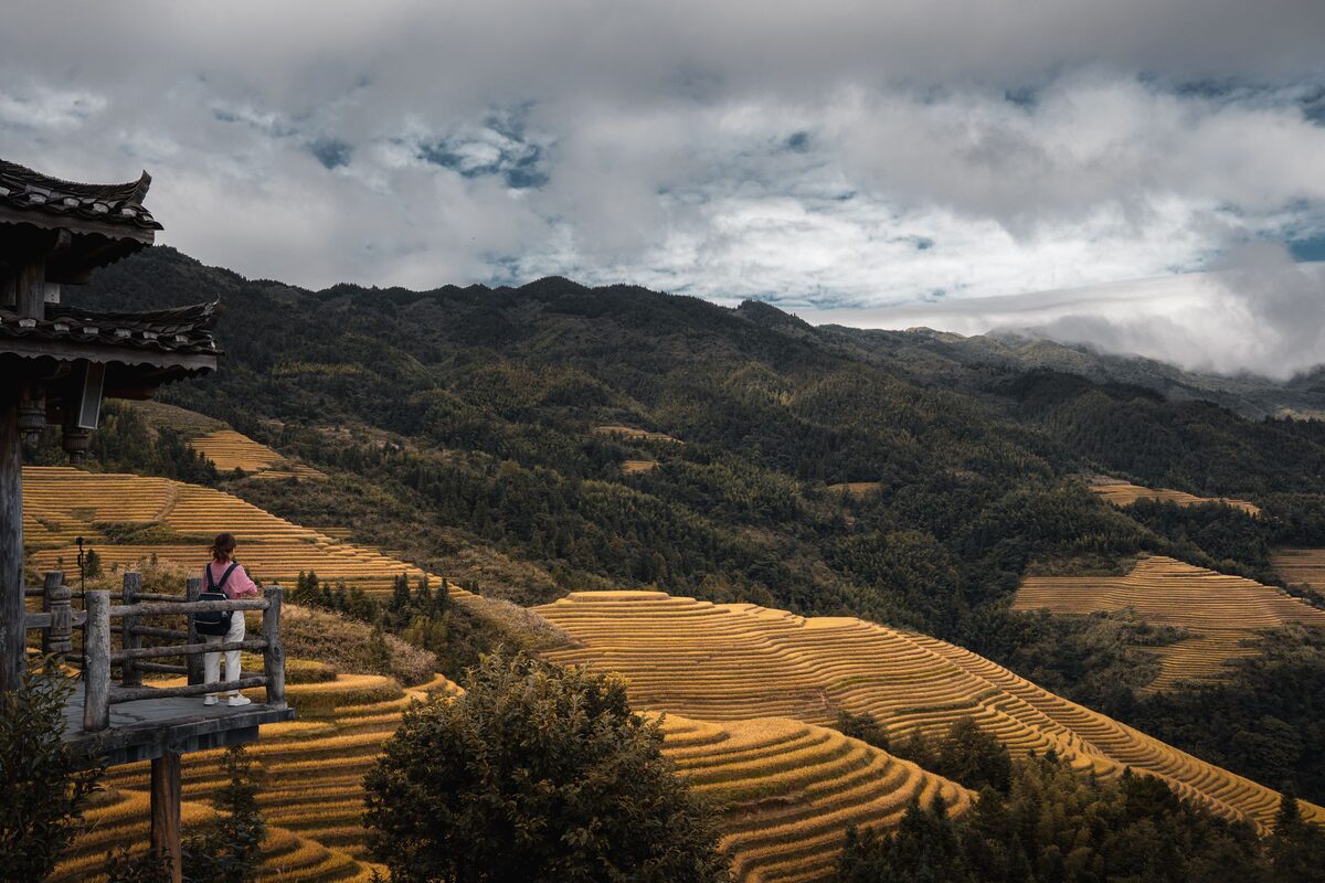 A wooden viewpoint pavilion above golden rice terraces in Longsheng under a cloudy sky
