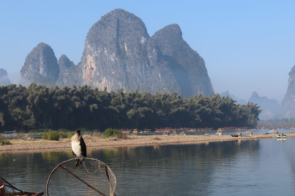 Karst peaks above the Li River at Xingping, with a cormorant perched on a fishing net frame in the foreground