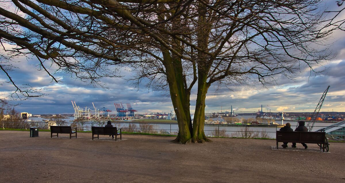 Benches under bare trees at the Altonaer Balkon, with harbor cranes and the Elbe in the distance