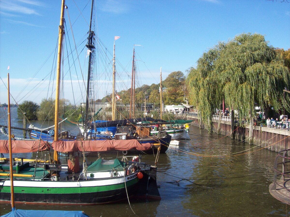 Historic sailing ships moored in a harbor basin at Övelgönne, with a weeping willow on the quay