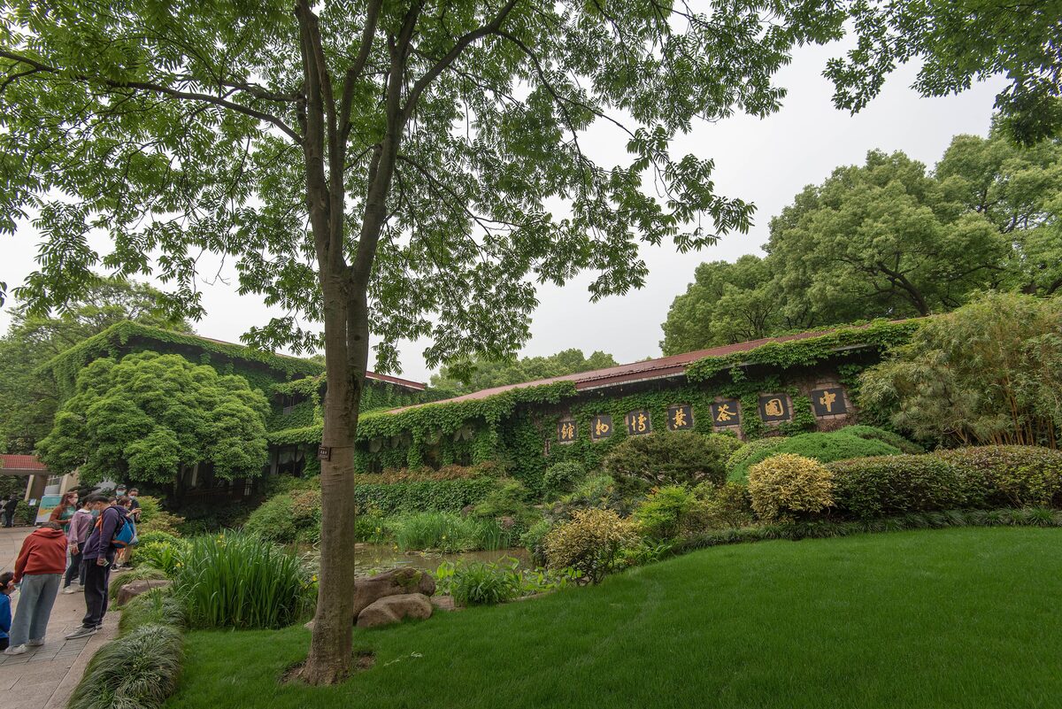 A lawn and garden in front of the low ivy-covered buildings of the China National Tea Museum, with visitors on the path