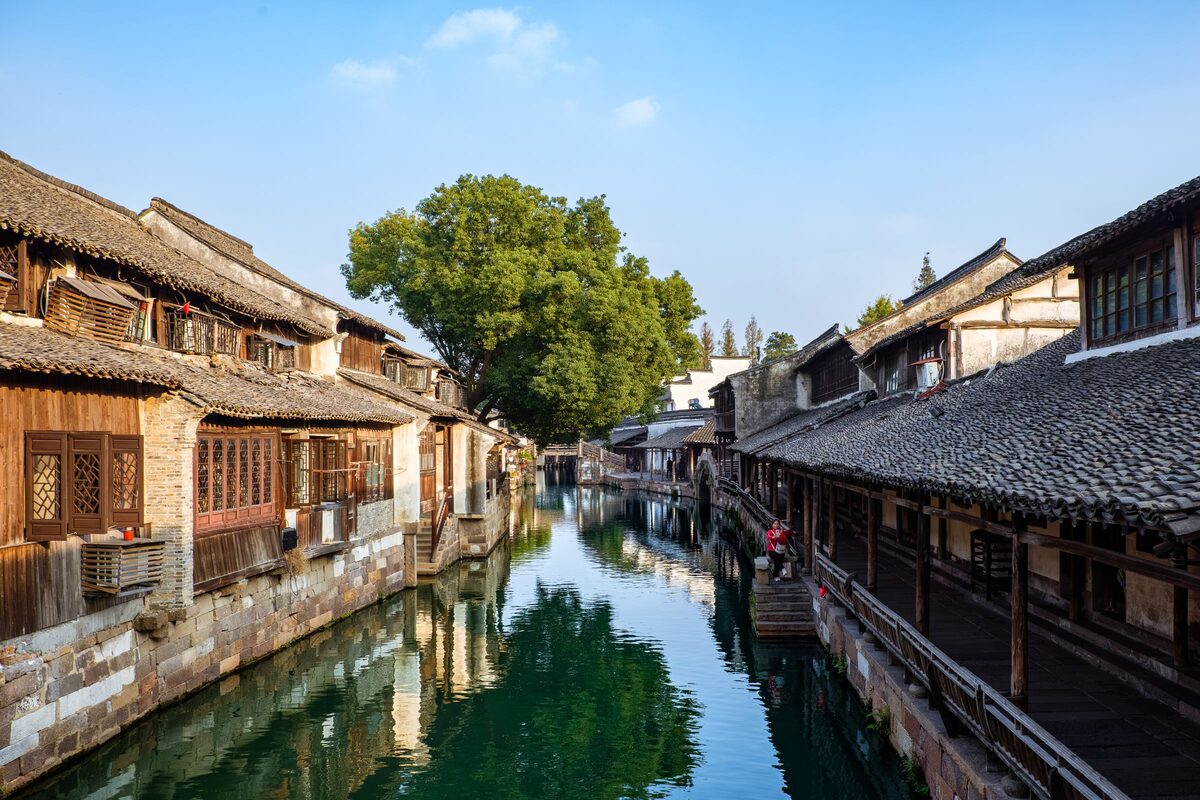 A Wuzhen canal in clear daylight, lined with old timber houses with tiled roofs and a big tree behind them, over green water