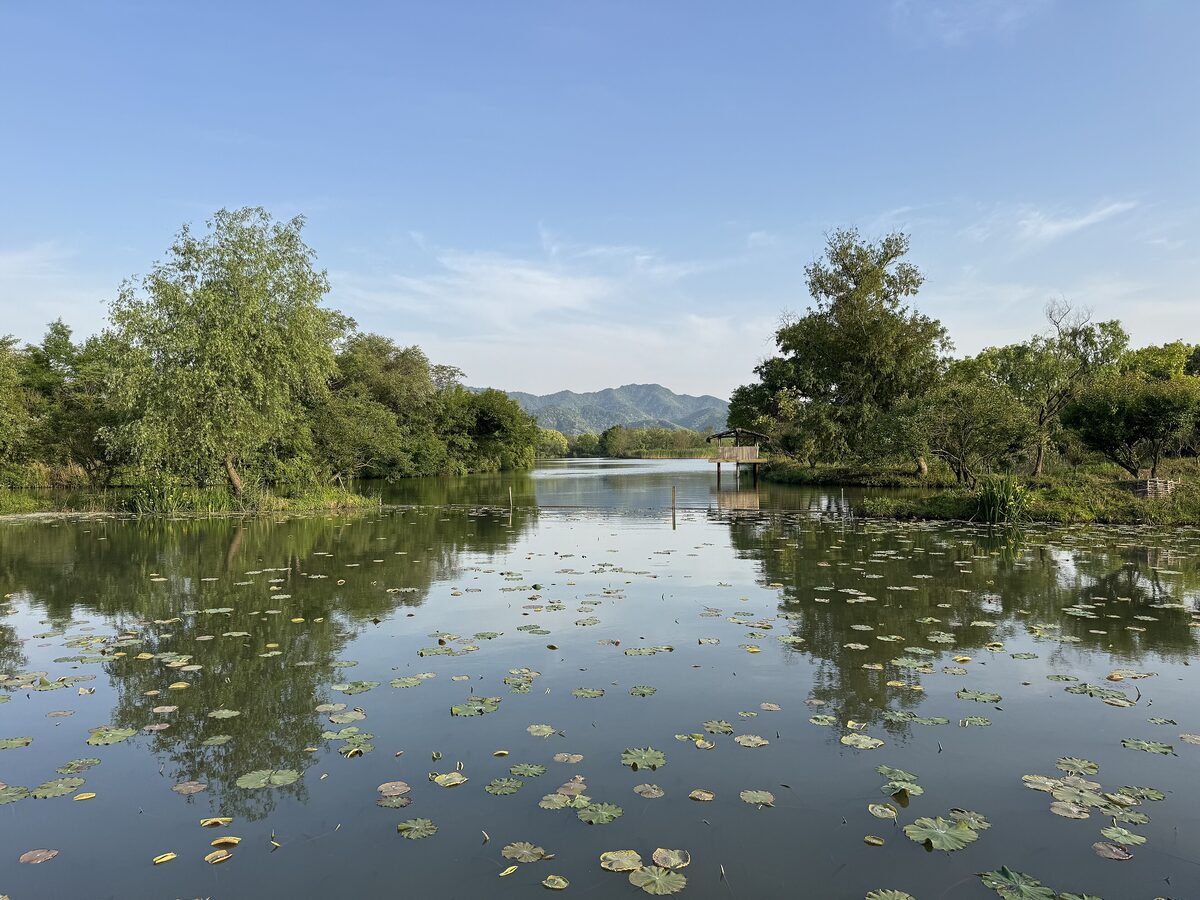A still channel in Xixi Wetland with water lilies, wooded banks and distant hills under a blue sky