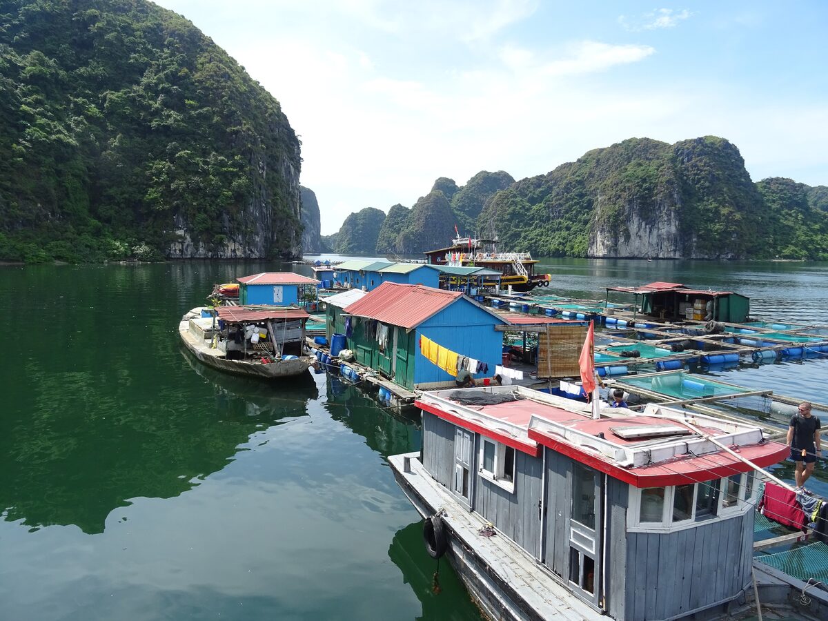 Floating fish farm houses and boats moored in Lan Ha Bay beside wooded limestone hills