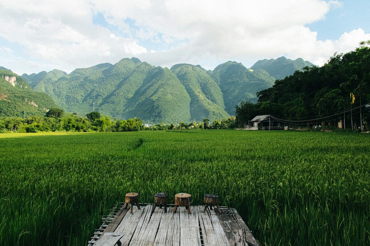 Green rice paddies in the Mai Chau valley with a wooden platform in the foreground and steep forested hills behind